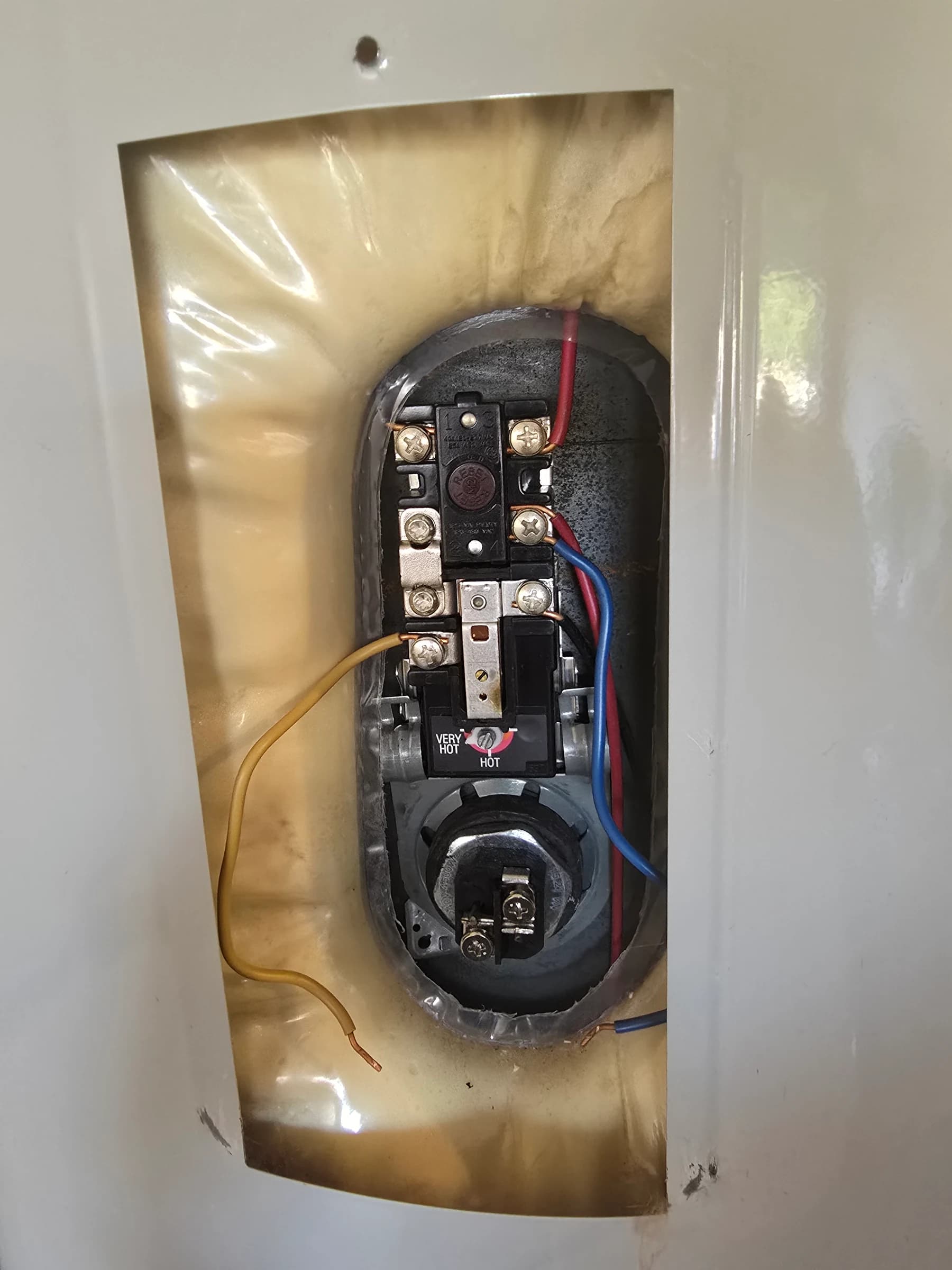 Scorched element and thermostat. This is a $389 repair, not a new tank.